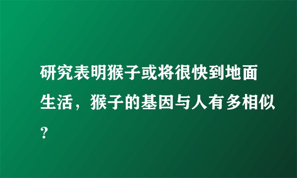 研究表明猴子或将很快到地面生活，猴子的基因与人有多相似？