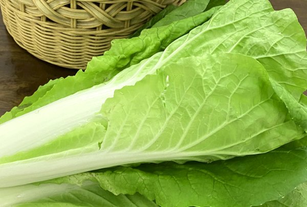 7月6日蚂蚁庄园答案是什么?