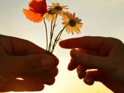 太过感性怎么改