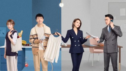 《完美伴侣》多少集?