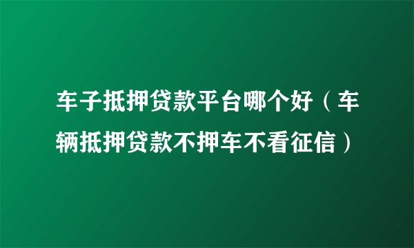 车子抵押贷款平台哪个好（车辆抵押贷款不押车不看征信）