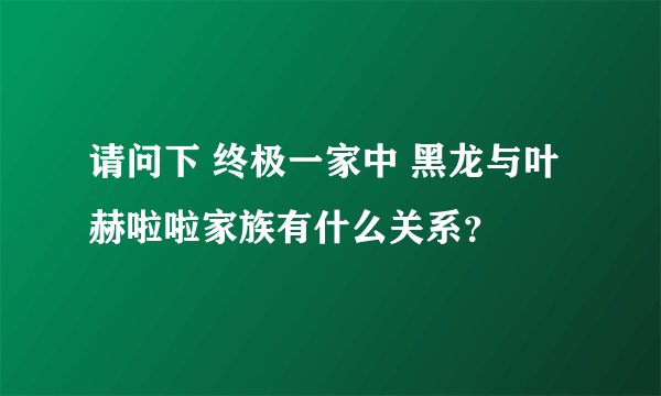 请问下 终极一家中 黑龙与叶赫啦啦家族有什么关系？