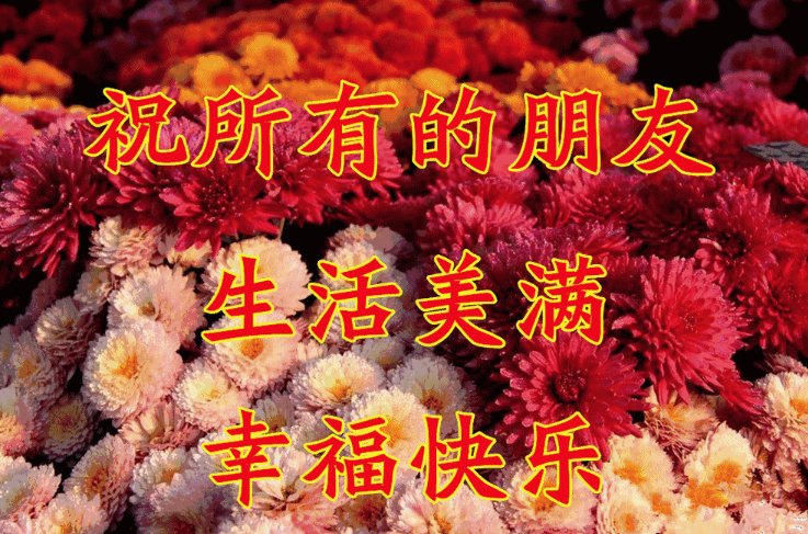 祝老师2024年祝福语怎么说