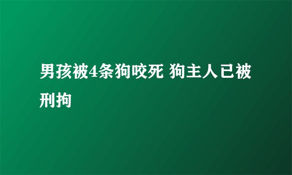 男孩被4条狗咬死 狗主人已被刑拘