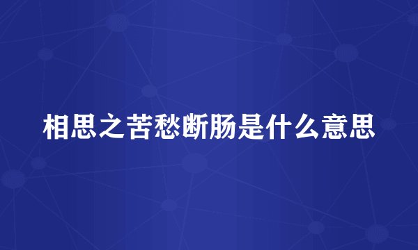 相思之苦愁断肠是什么意思