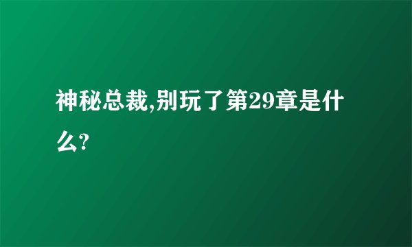 神秘总裁,别玩了第29章是什么?