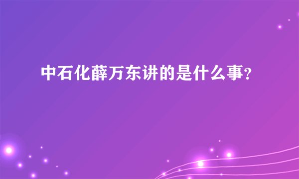 中石化薛万东讲的是什么事？