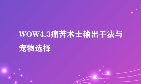 WOW4.3痛苦术士输出手法与宠物选择