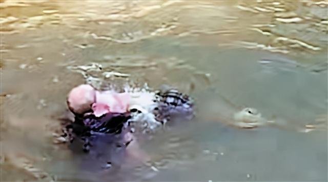 河北一老人含泪跳河，挥手拒绝救助，老人为什么要这么做？