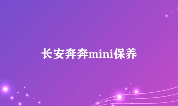 长安奔奔mini保养