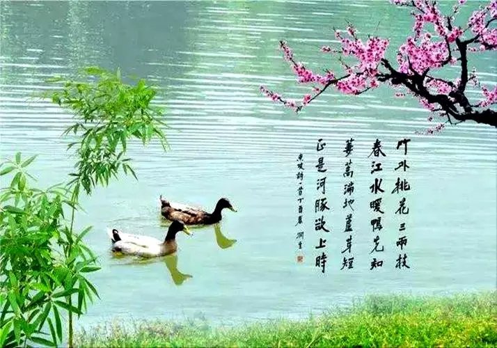 惠崇春江晚景诗意？