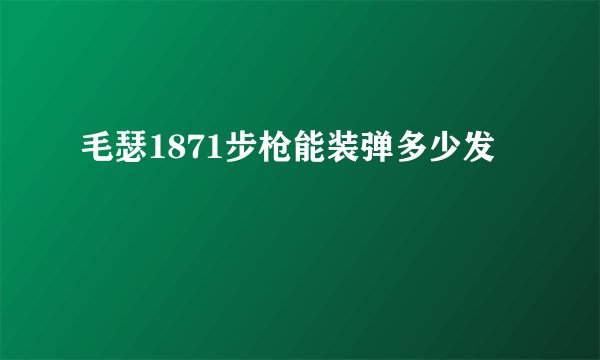 毛瑟1871步枪能装弹多少发