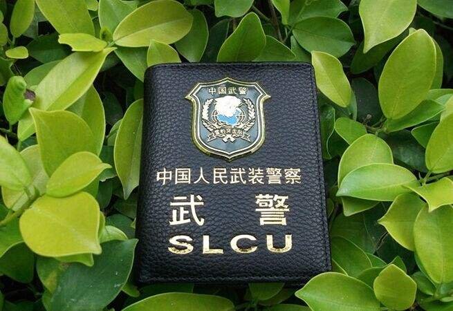 刚刚公布!全军统一制发军(警)士相关证件,主要有哪些特点?