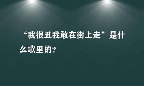“我很丑我敢在街上走”是什么歌里的？