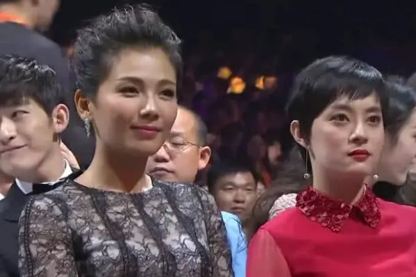 刘涛退出与孙俪共同持股公司!她为何会退出?她的退出对公司有影响吗?