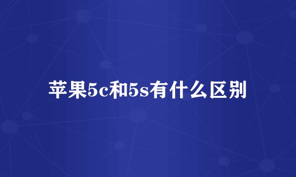 苹果5c和5s有什么区别