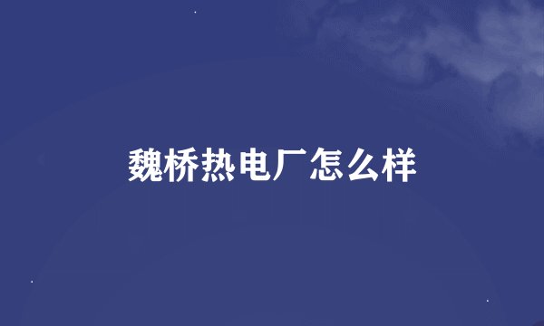 魏桥热电厂怎么样