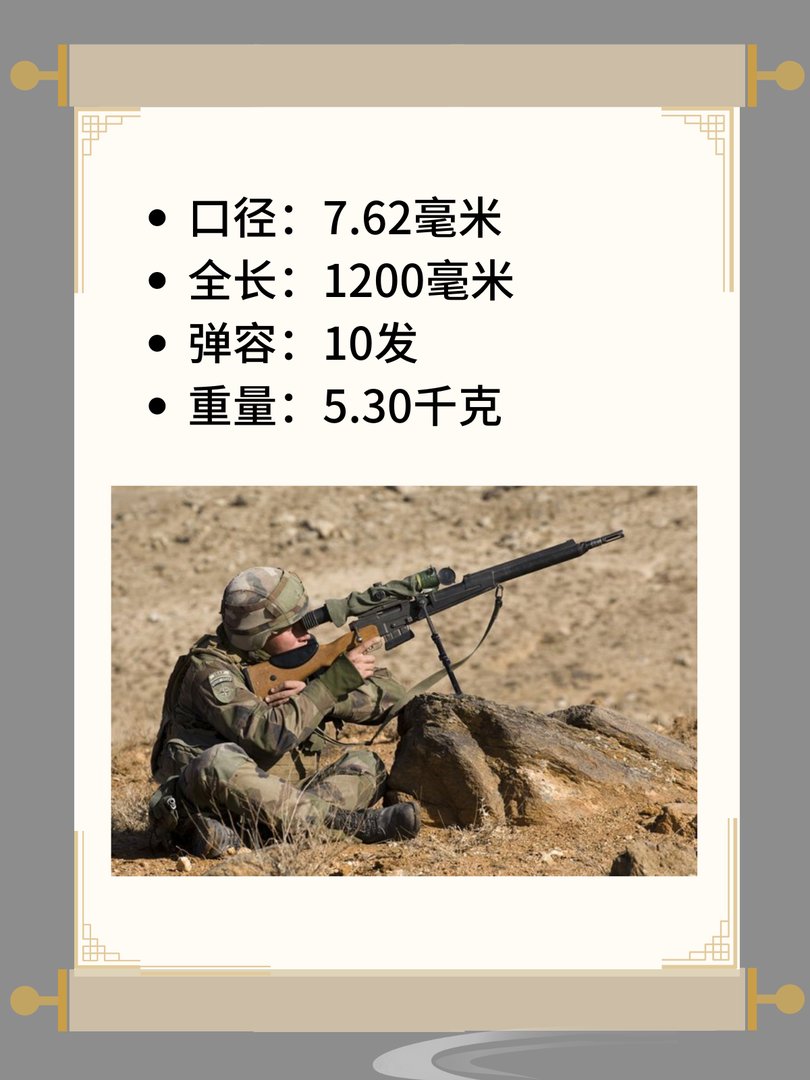 FR-F2式狙击步枪