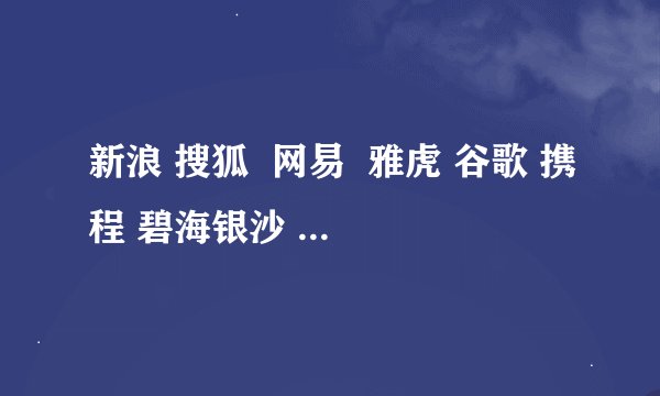 新浪 搜狐  网易  雅虎 谷歌 携程 碧海银沙 中国博客 的创始人 时间 地址  分别是什么