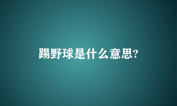 踢野球是什么意思?