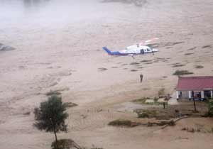 鸡群被洪水围困树枝七天，水中的鸡坚强是什么梗？