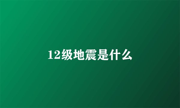 12级地震是什么