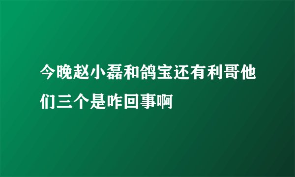 今晚赵小磊和鸽宝还有利哥他们三个是咋回事啊