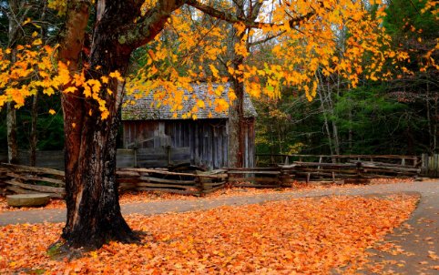 2023秋天的第一杯奶茶是几月几号开始的