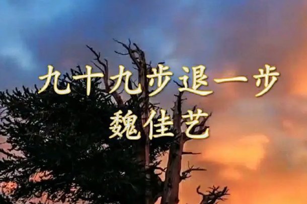 我能否九十九步去爱你,也能后退一步就放弃,什么歌