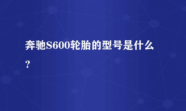 奔驰S600轮胎的型号是什么？