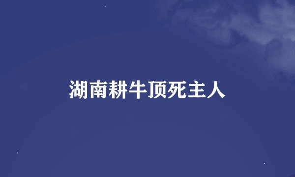 湖南耕牛顶死主人