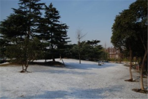 南方多地降温如“换季”,此次寒潮的特点是什么?