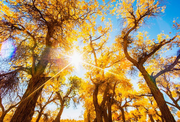 为何内蒙古额济纳旗会成为本轮疫情中确诊病例数最多的地区？