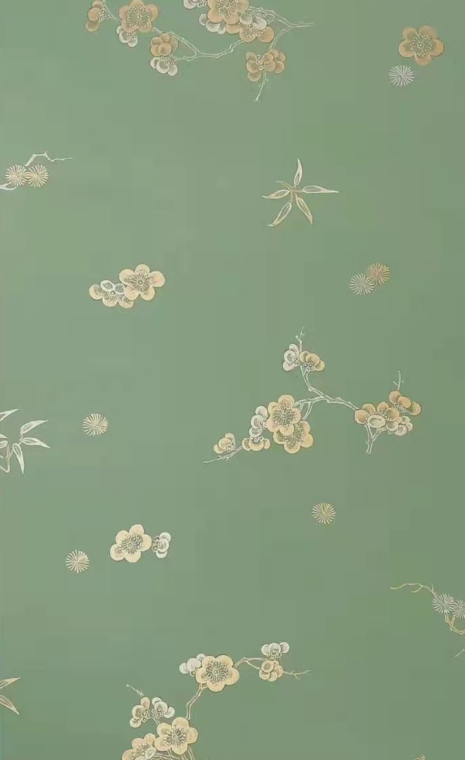 能代表安徽黄麓古镇文化的活化石是什么？