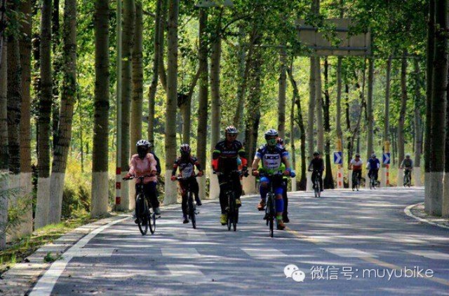 买一善一的介绍