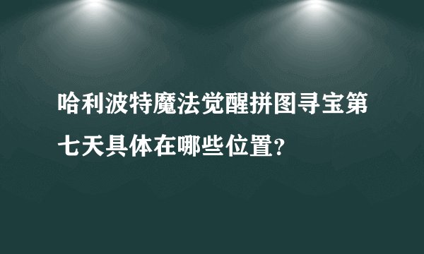 哈利波特魔法觉醒拼图寻宝第七天具体在哪些位置？