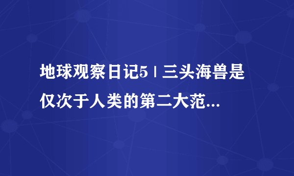 地球观察日记5 | 三头海兽是仅次于人类的第二大范围的哺乳动物