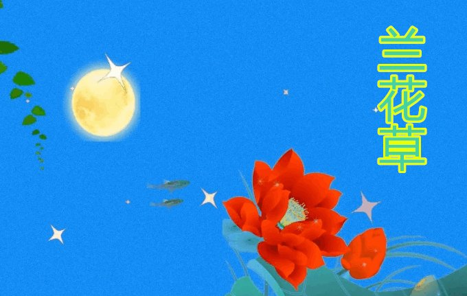 胡适的兰花草歌词