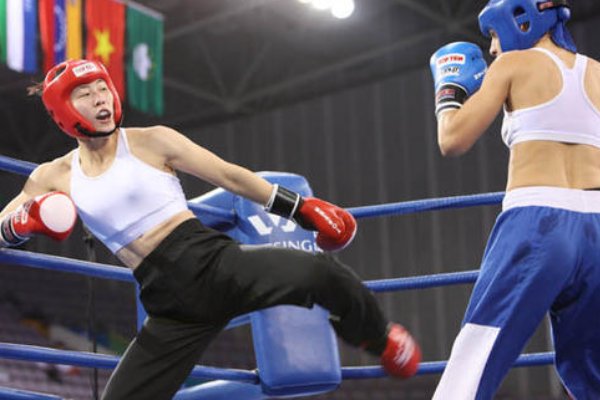 想打自由搏击,怎么报名