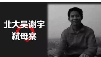 吴谢宇说:不愿母亲被演成坏人!为何他当年要弑母?