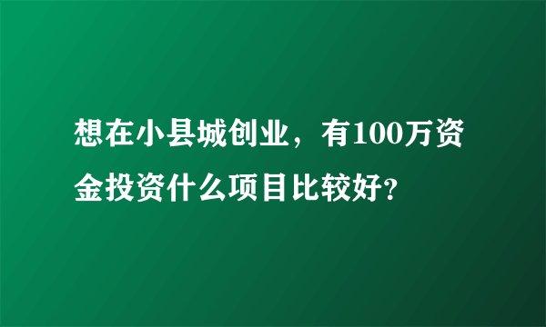 想在小县城创业，有100万资金投资什么项目比较好？