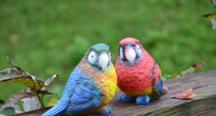 塑料鹦鹉是什么意思？