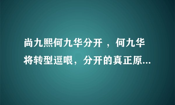 尚九熙何九华分开 ，何九华将转型逗哏，分开的真正原因太明显