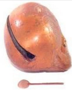 何水无鱼是什么字