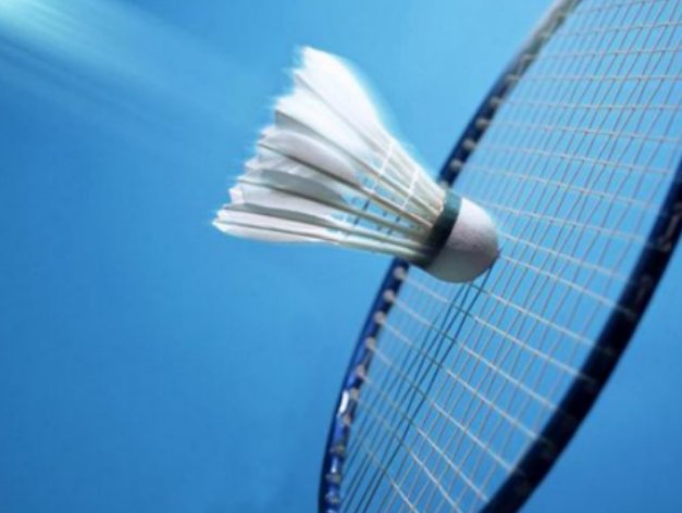 羽毛球和网球哪个球速快一些?