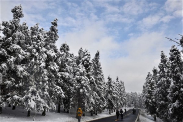 南方多地降温如“换季”,此次寒潮的特点是什么?