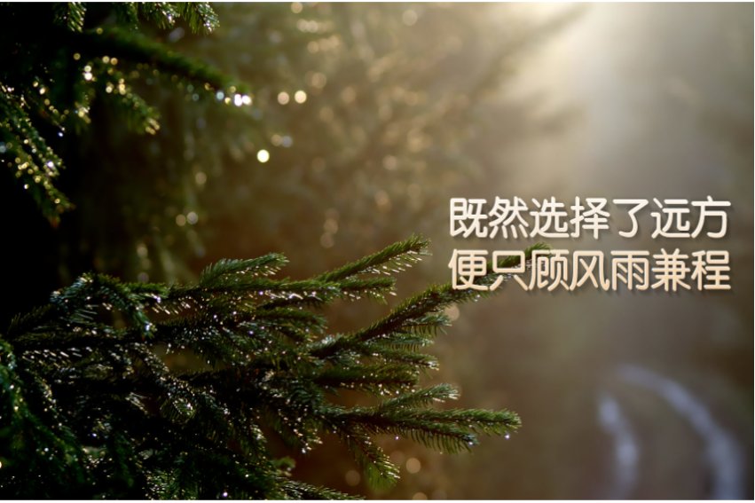 今天明天后天励志话句