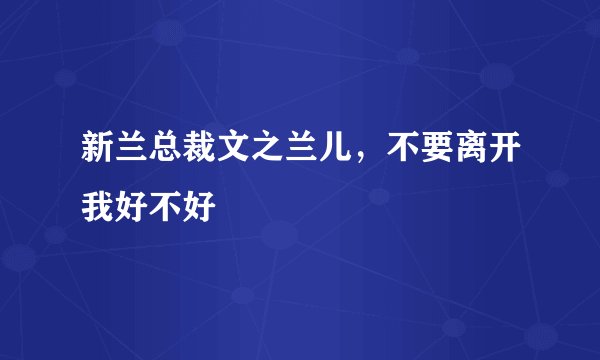 新兰总裁文之兰儿，不要离开我好不好