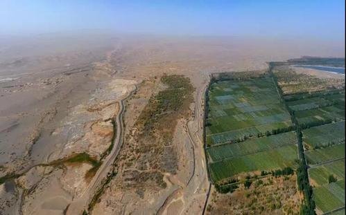 关于敦煌防护林被毁这件事，人民日报是如何评价的？