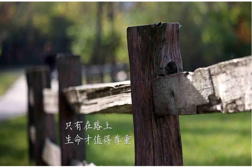 今天明天后天励志话句